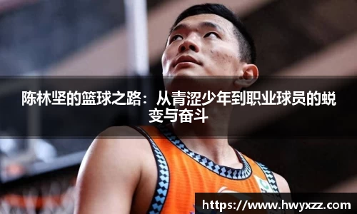 彩神VI官网