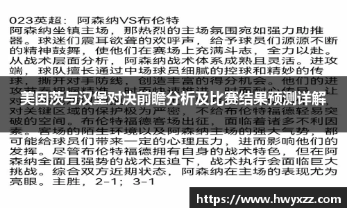 美因茨与汉堡对决前瞻分析及比赛结果预测详解
